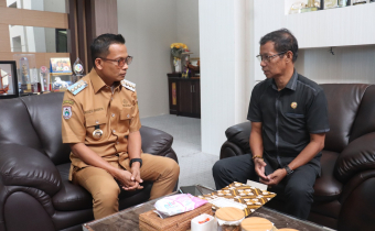 BUPATI